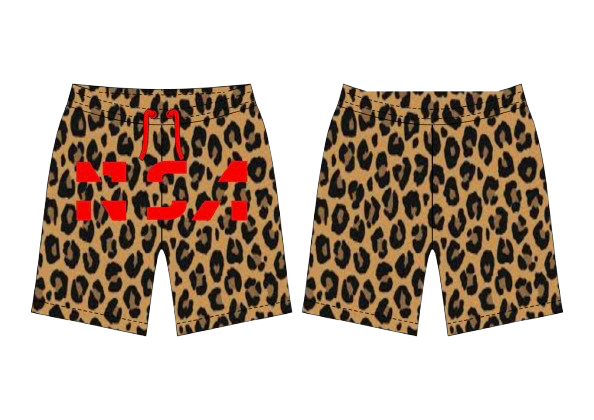 NSA trunks